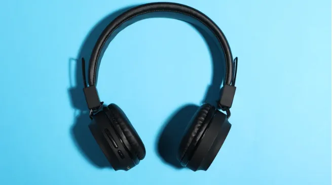 Output Device Kya Hai