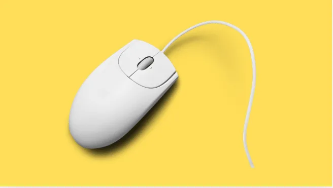 Input Device Kya Hai?